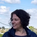 tali bitan