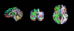 You are currently viewing Imaging Laboratory